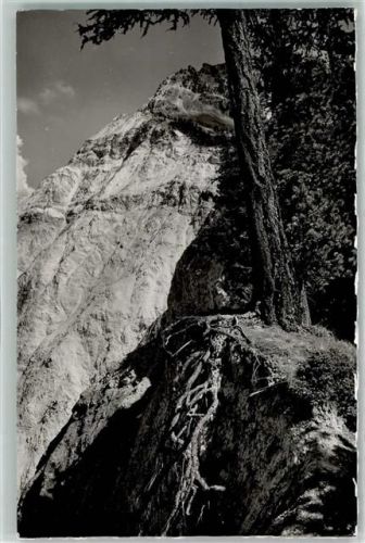 3961 Chandolin Gebrauchsspuren Meleze sur l abime de l Jllgraben