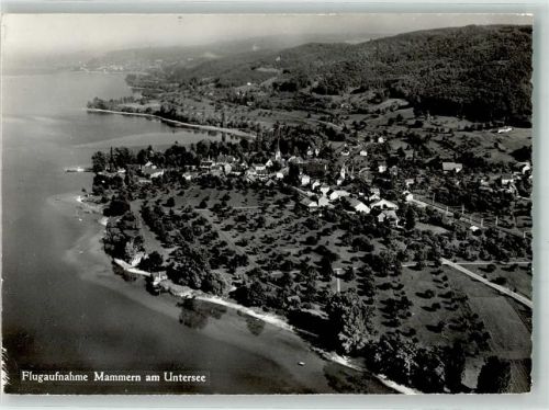 8265 Mammern Foto AK Fliegeraufnahme