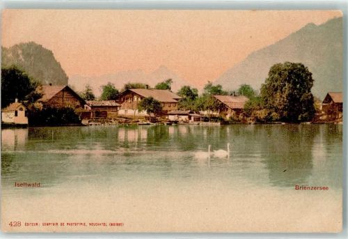 3624 Goldiwil Thun - Chalets Schwäne auf dem Brienzersee
