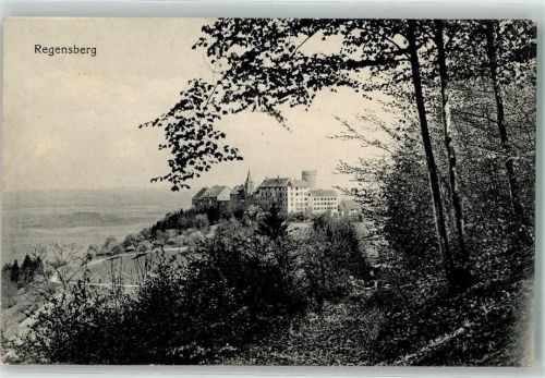 8158 Regensberg 1913 - Schloss