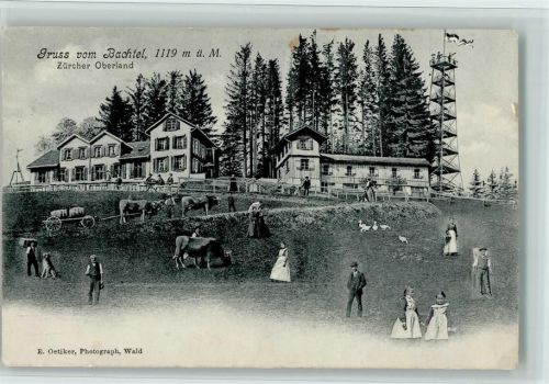 8340 Hinwil 1904 - Bachtel Kulm , Aussichtsturm, gute Erhaltung AK
