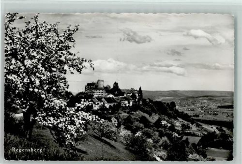 8158 Regensberg - Feldpost