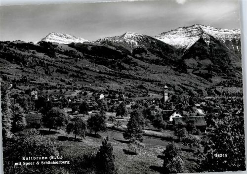 8722 Kaltbrunn - Teilansicht, Speer, Schläniserberg