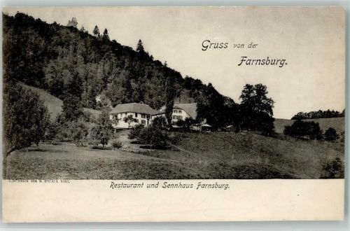 4466 Ormalingen 1903 - Gast- u. Sennhaus Farnsburg Ort lt. Stempel