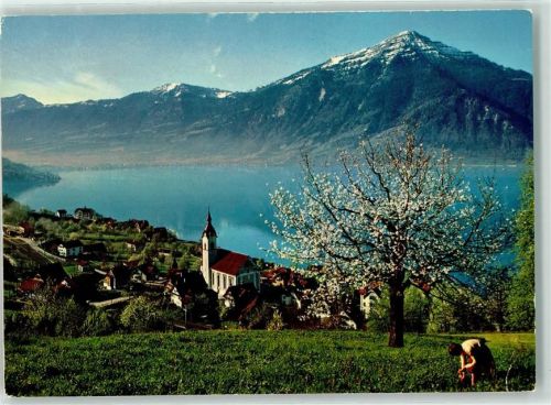 6318 Walchwil - Rigi