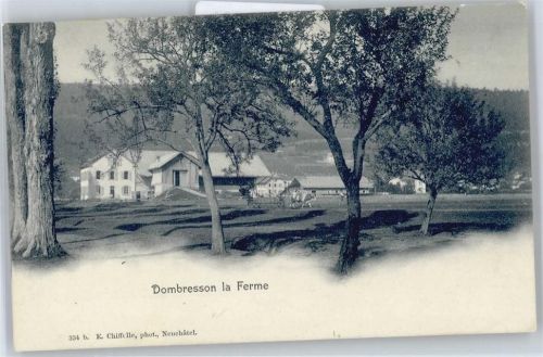 2056 Dombresson