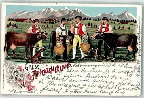 9105 Schönengrund 1901 Lithographie Tracht Appenzeller Land Kühe Kuhglocken Ort handschriftlich