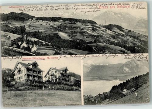 3624 Goldiwil Thun 1903 - Pension Blümlisalp