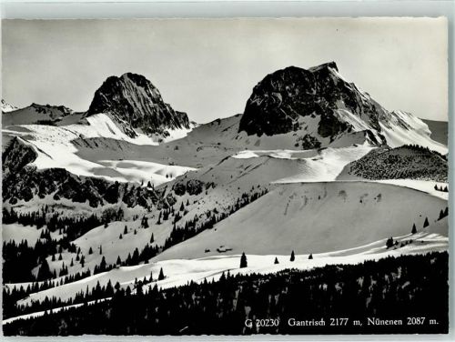 Gantrisch - Nünenen Winter