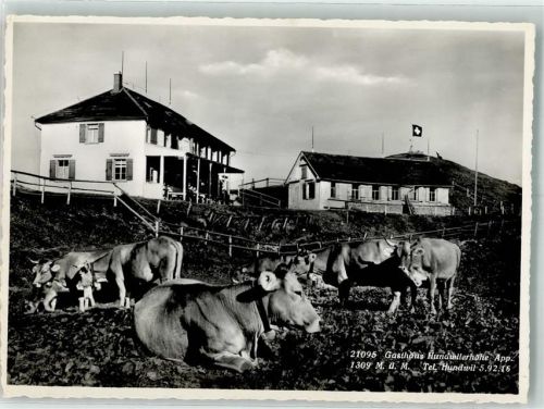 Hundwiler Höhe Foto AK Gasthaus Kühe Hüttenstempel
