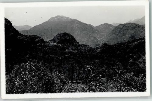 6616 Losone Foto AK Campo Enrico Pestalozzi