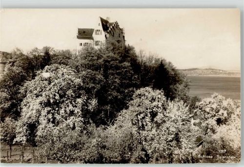 8268 Salenstein - Schloss