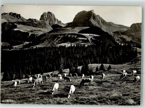 Gantrisch 1958 Foto AK Feldpost Infanterieschulen