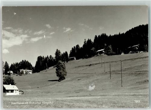 7402 Bonaduz Gebrauchsspuren Scardanal