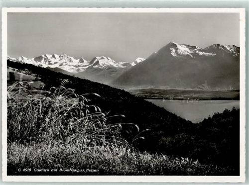 3624 Goldiwil (Thun)