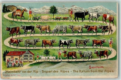Prägedruck Heimkehr von der Alp AK