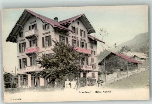 3762 Erlenbach im Simmental Foto AK Hotel Alpina