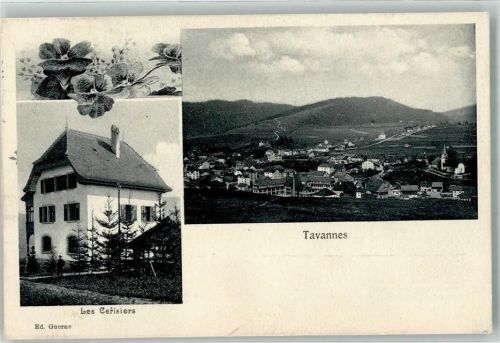 2710 Tavannes 1916 - Les Cerisiers