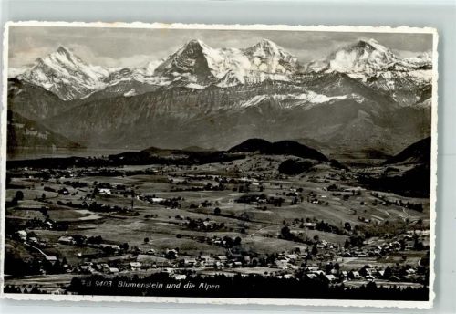 3638 Blumenstein - Fliegeraufnahme