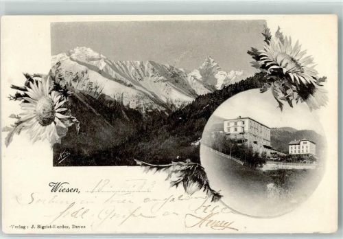 7494 Wiesen GR 1903 - Winter