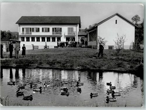 6204 Sempach - Vogelwarte Enten Besucher Werbung Durisol Maurewerk