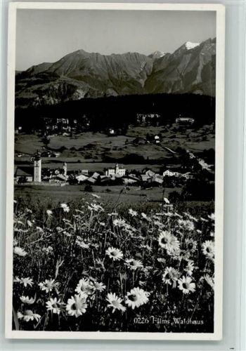 7018 Flims Waldhaus - Blumen