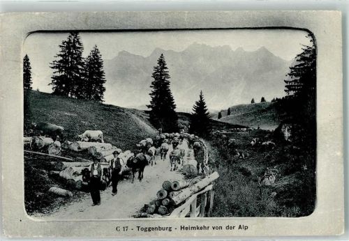 9651 Rietbad 1909 - Heimkehr von der Alp im Toggenburg Ort lt. Stempel