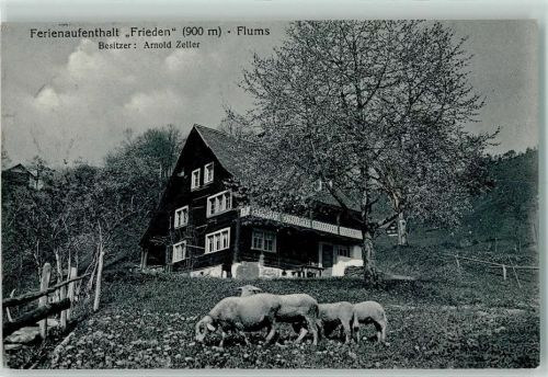 8890 Flums - Frieden Schafe