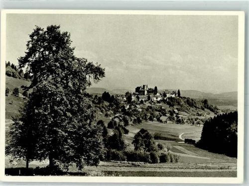 8158 Regensberg - von der alten Linde aus