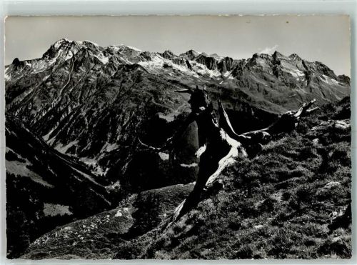 1960 - Tödikette von der Alp Soliva aus