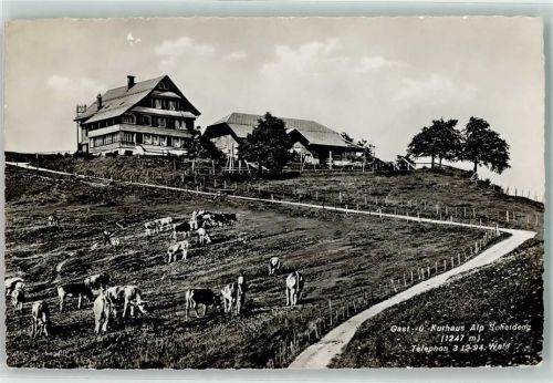 8636 Wald ZH - Alp und Kurhaus Scheidegg