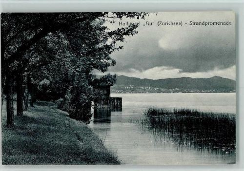 8804 Au ZH 1919 - Halbinsel Au Zürichsee Strandpromenade