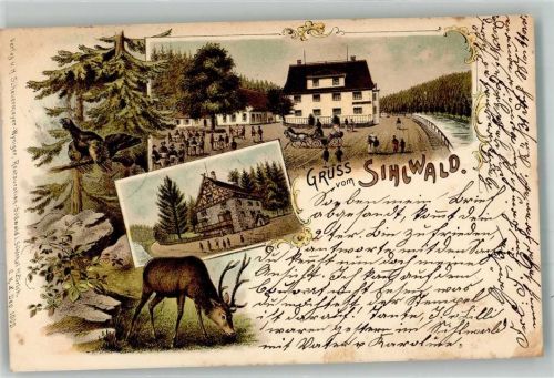 8135 Sihlwald 1897 Lithographie