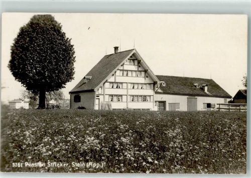 9063 Stein AR - Pension Stricker