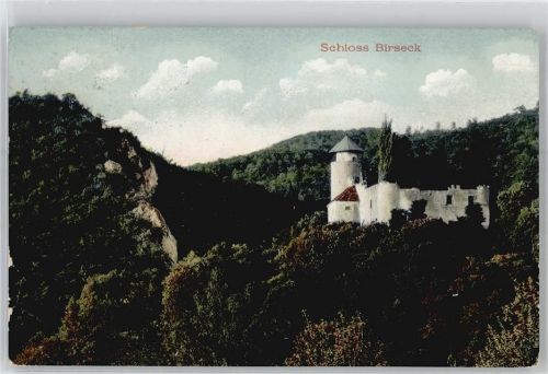 Birseck Ruine - Schloss Birseck