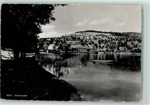 6405 Immensee - Uferansicht Ruderboot