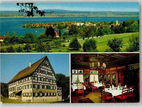 8272 Ermatingen Foto AK Hotel Adler Chronik