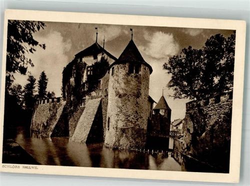 5705 Hallwil Foto AK Schloss