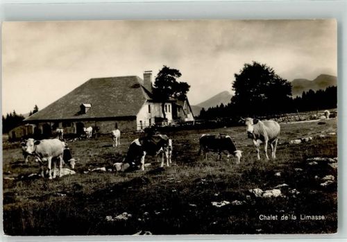 Limasse - Chalet Kühe