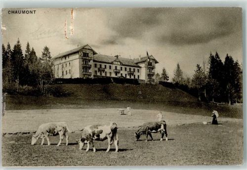 2067 Chaumont 1909 Gebrauchsspuren Kuhherde