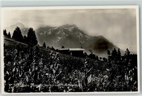 1884 Villars-sur-Ollon - Dent de Morcles