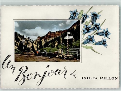 Col du Pillon - Schmuckrahmen Enzian Wanderer