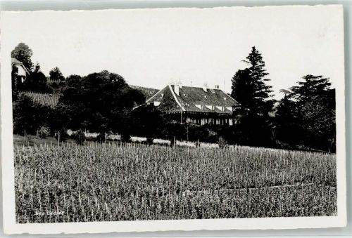 2016 Cortaillod Foto AK les Cedres