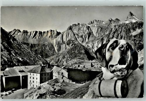 San Bernardino - Grand St. Bernard l'Hospice et l'Hotel le coté Italien et le Pain de Sucre Bernhardiner