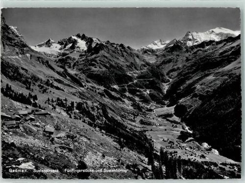 3863 Gadmen - Fünffingerstöcke Sustenhörner