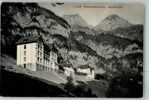 8881 Walenstadtberg Foto AK Sanatorium