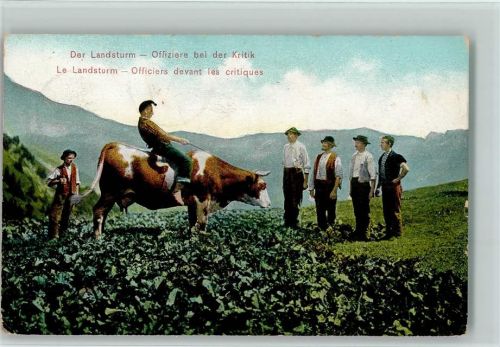 1909 - Bauer sitzt auf einer Kuh - Der Landsturm - Offiziere bei der Kritik - Humor