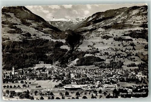 8890 Flums - Spitzmeilen