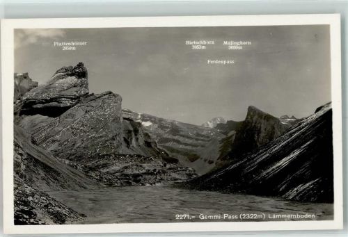 Gemmipass Wallis - Lämmernboden