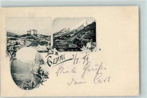 Gemmipass Wallis 1899 Gebrauchsspuren